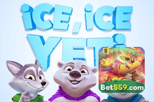 BET559 feedback — formulário de envio no aplicativo oficial