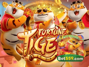 Guia install APK BET559 BR