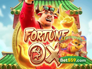BET559 login — painel de entrada no app oficial