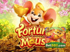 BET559 login — configurações de segurança e proteção de conta